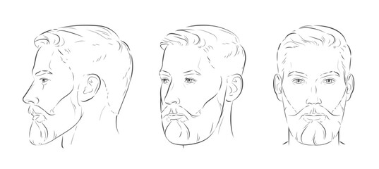 Man with beard. Barbershop trimming bearded hipster hairstyle. Stylish haircut. Set of man face portrait different angle view turns front, profile, three-quarter. Vector illustration
