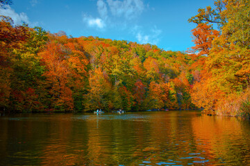 A beautiful autumn day in Dilijan National Park.