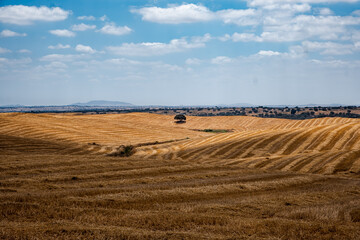 A countryside landscape of Alentejo, Portugal