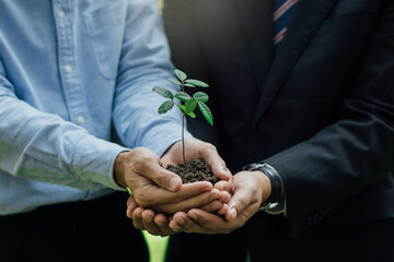 Businessman hands holding young plant.World environment day. Global community teamwork.Volunteer...