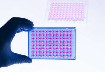 96 well plate in the laboratory of experimental genetics of the Biological University