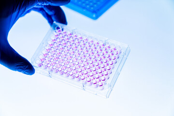 96 well plate in the laboratory of experimental genetics of the Biological University