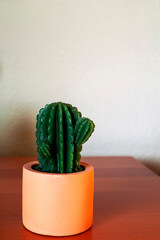 Cactus in ceramic pot on wooden table. Pot with artificial small green plant, front view. Exotic and tropical concept.Copy space, vertically oriented image...