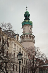 Fototapeta na wymiar tower in the center of sopron, hungary