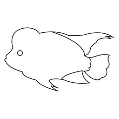ornamental fish icon