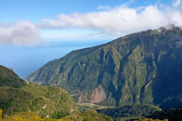 Green mountainside. Green trees grow in the mountains. The background of nature.