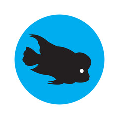 ornamental fish icon