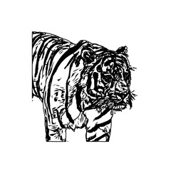 Black and white sketch of a tiger with transparent background