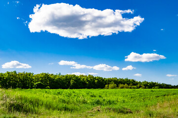 Beautiful horizon scenery in village meadow on color natural background