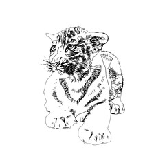 Black and white sketch of a tiger with transparent background