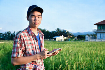 Young asian teen boy in plaid shirt wears hat, bending down and holding an ear of rice to collect cultivation information and survey it in tablet in his hand in the late afternoon in rice paddy farm.
