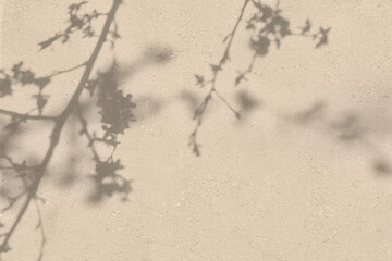 Abstract tree leaves shadows on beige concrete wall texture. Abstract trendy colored nature concept background. Copy space for text overlay, poster mockup flat lay 