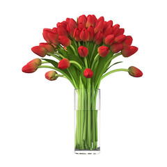 decorative flowers and plants for the interior,  isolated on transparent background, 3D illustration, cg render