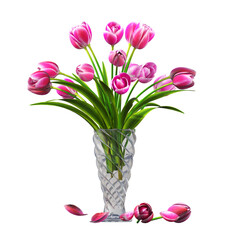 decorative flowers and plants for the interior,  isolated on transparent background, 3D illustration, cg render