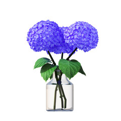 decorative flowers and plants for the interior,  isolated on transparent background, 3D illustration, cg render