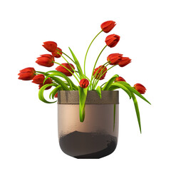 decorative flowers and plants for the interior,  isolated on transparent background, 3D illustration, cg render