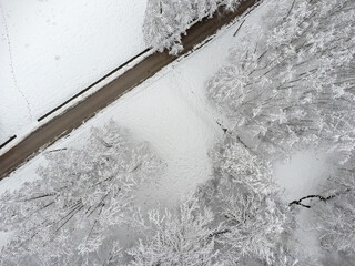Winter path , trees covered with snow. Aerial view landscape.