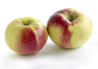 various multicolor apples as tasty fruits