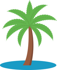 activity beach and palm tree