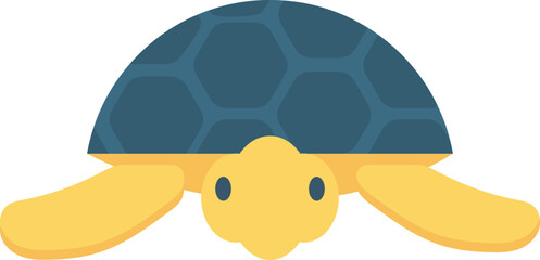 activity turtle and sea