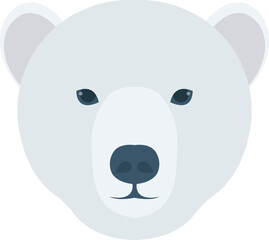 animal   bear and animal