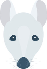 animal   animals and zoo