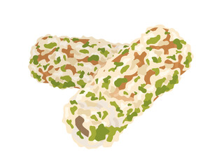 ちくわの磯辺揚げのイラスト