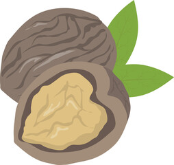 fruits walnut and dry