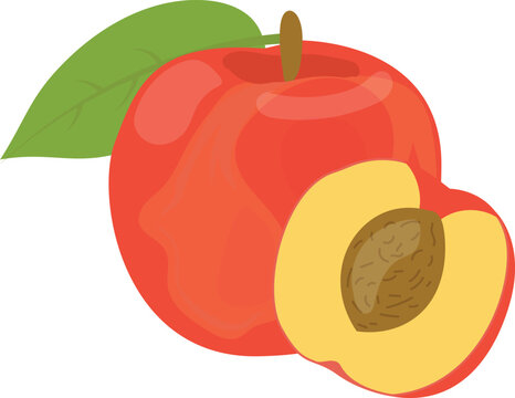 fruits fresh and drink