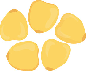 fruits corn and food