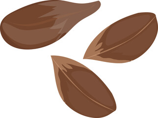 fruits almond and dried fruit