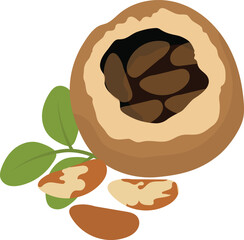 fruits food and healthy