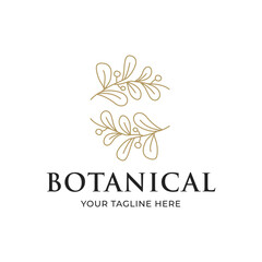 Fototapeta premium olive oil leaf logo botanical line art