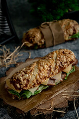 rustic cheese sandwich on dark background