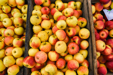 .Bio apples sold in the market at the local market.