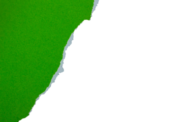 Green torn paper png