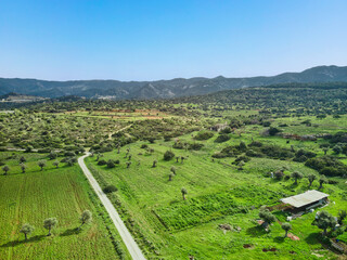 Fototapeta na wymiar Sea view lands in green field in Esentepe, North Cyprus