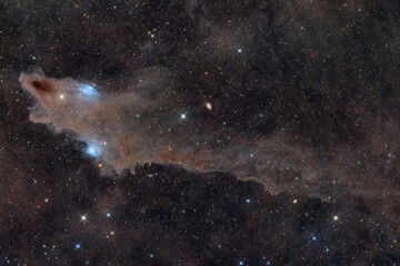 Shark Nebula