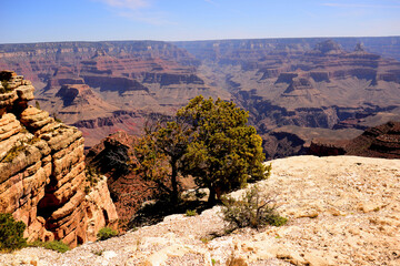 Grand Canyon Arizona