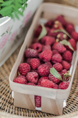 A solo container full of fresh dry raspberries.