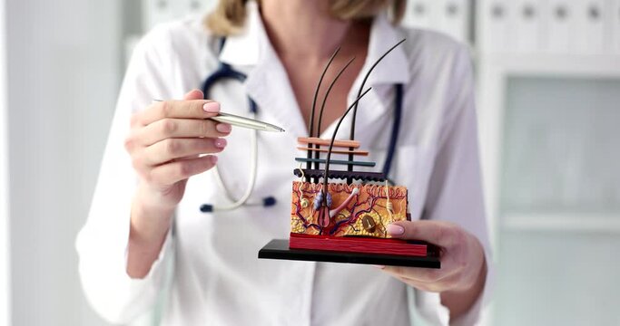 Doctor cosmetologist explains anatomy of structure of skin