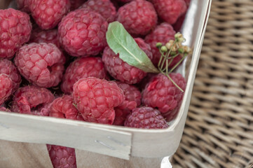 A container full of fresh dry raspberries and inflorescence with linden leaves