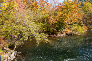 View of Autumn Colors by a River and Mountain Side on a Sunny Day