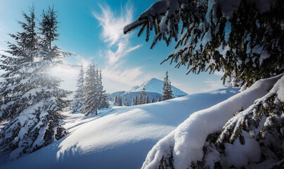 Fototapeta na wymiar Splendid Alpine scenery in winter. Fantastic frosty morning in forest. snow-cowered pine trees under sunlight. Fantastic mountain highland. Amazing winter background. Wonderful Christmas Scene
