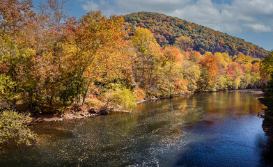 Fototapeta na wymiar View of Autumn Colors by a River and Mountain Side on a Sunny Day