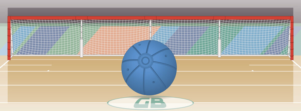 para sports paralympic goalball net and goal posts with court and ball