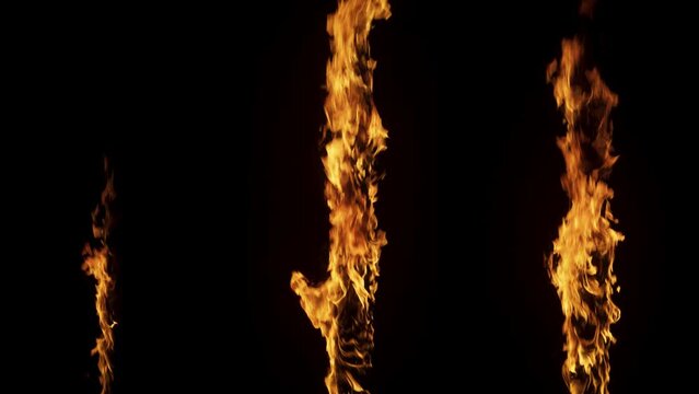 Slow Motion Shot On Black Background of Three Vertical Wooden Tree Sticks Burning in Flames. Beautiful Fire Spreading Slowly. Isolated Mock Up For Special Effects, VFX, Post Production, Animation.