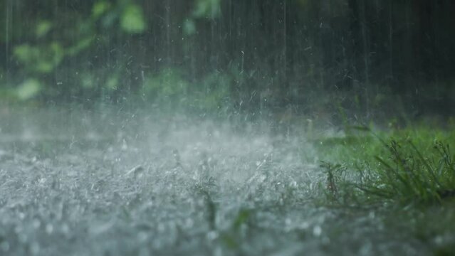 Splashes of rainwater that fall on the grass do not absorb completely and create puddles
