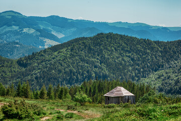 Fototapeta na wymiar Small hut on the slope of mountains in summer, with beautiful hills, forest, sky in background, pastoral and idyllic landscape in Carpathians, Ukraine, part of touristic hiking and trekking trail
