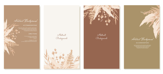 Set of vertical stories templates for social media in a natural boho style, with pompas and dried flowers. Vector backgrounds